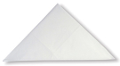 Image for NT13W