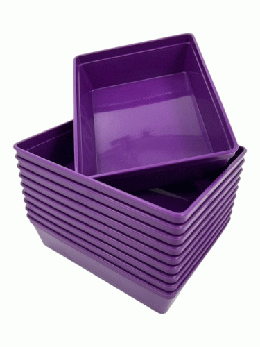 Instrument Tray-Purple 200 x 150 x 50mm